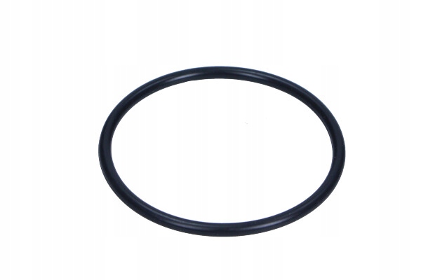 Těsnění víka předfiltru čerpadla Infinity HPS 50
